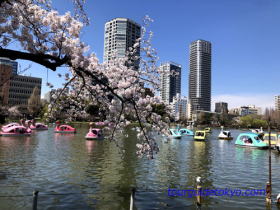 Ueno Park